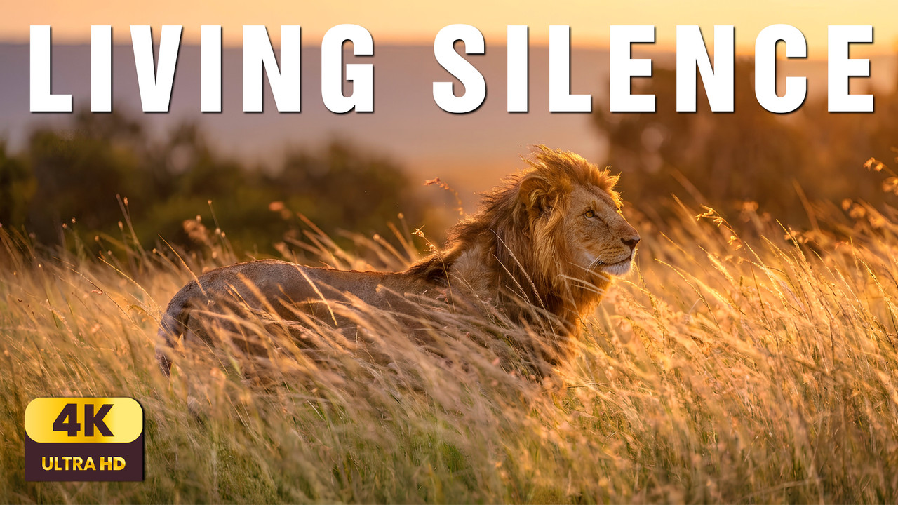 Shadows in the Tall Grass | African Savanna Relaxation & Nature Ambience