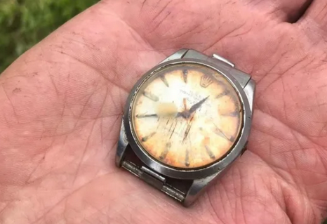 Rolex-Watch-Turns-Up-50-Years-Later.png