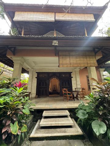 6 Aviones, 3 barcos y 2 trenes, empezando en Estambul y terminando Kuala Lump - Blogs de Indonesia - TERCERA PARADA: BALI (12)