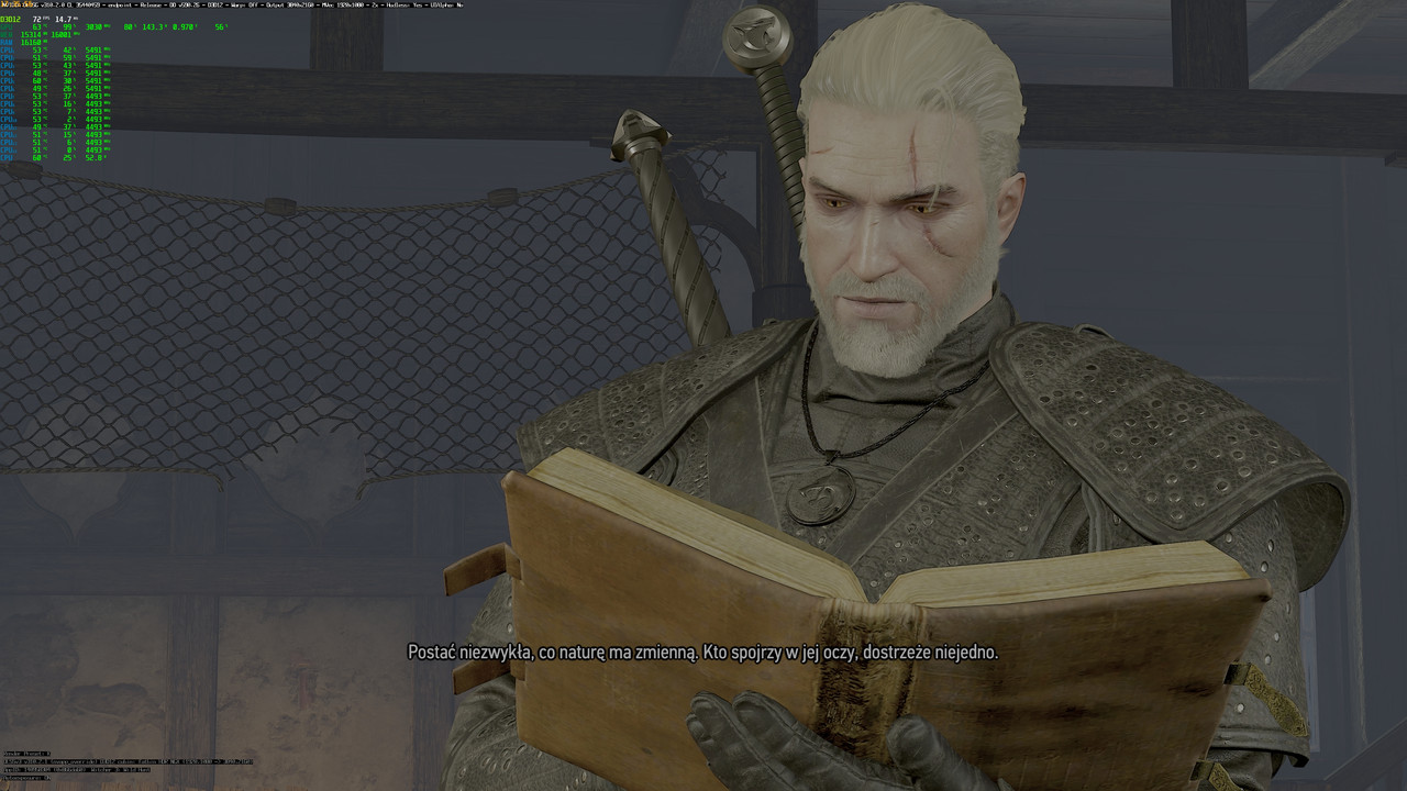 witcher3_2025_07_21_17_35_56_890