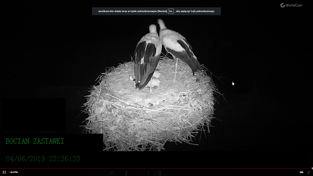 2019-06-04 22_24_23-Greenshot