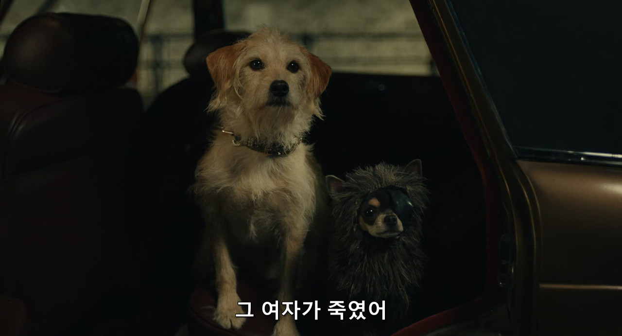 [HR] Cruella (2021) [64B53632]_12