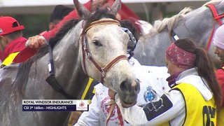 Windsor-Horse-Trials-GP20230512-164508.jpg