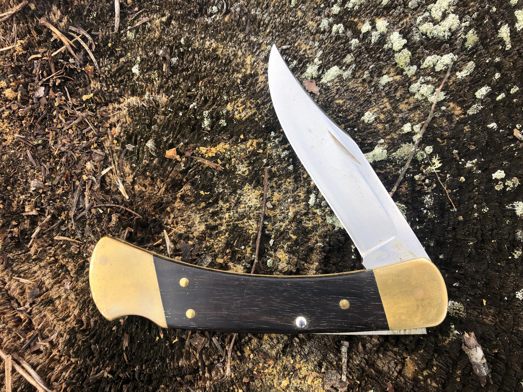 Buck-110-Two-Dot-lightly-struck.jpg