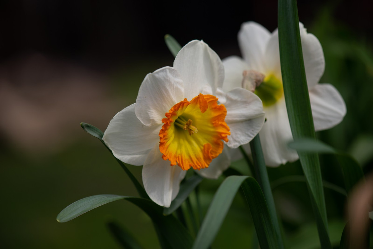 IMG-546b595bfac7208e4d741c3c9194e867-V