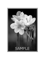 Grey-Flowers-Sample