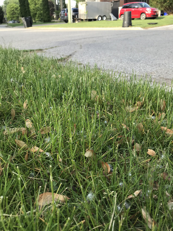 39F8AEA6-A2B8-450A-A337-B22A4276BF2A