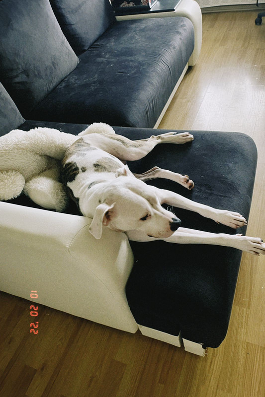 467A3A23-AEE6-4078-80C6-C0BC069AF4A6