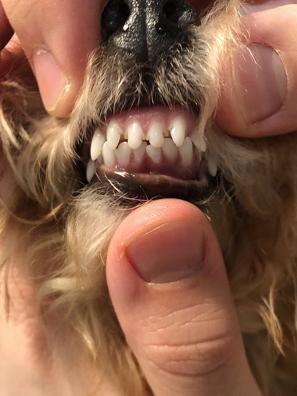 18D35EBB-BC92-413E-A966-99E1349A68EA