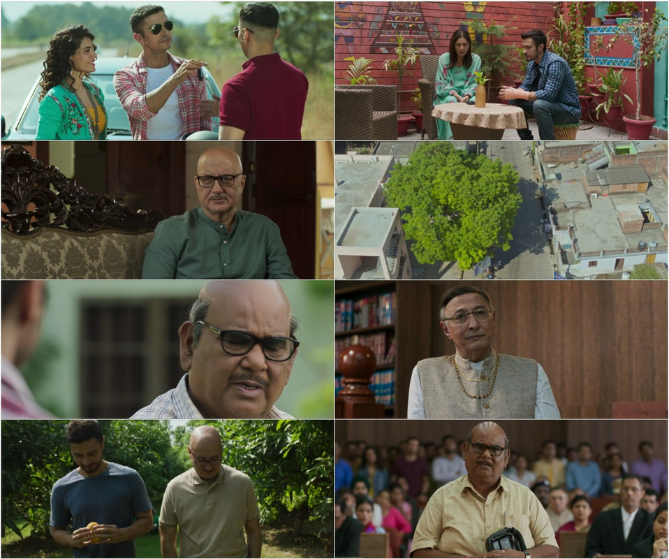 Kaagaz 2 (2024) Hindi Full Movie HD ESub screenshot