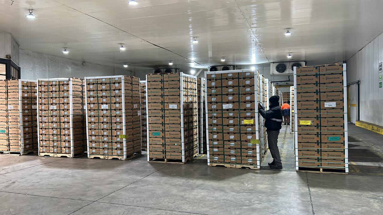 Consolidación contenedores 1