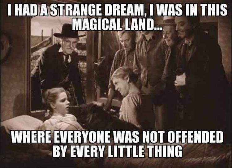 dorothy-s-dream.jpg