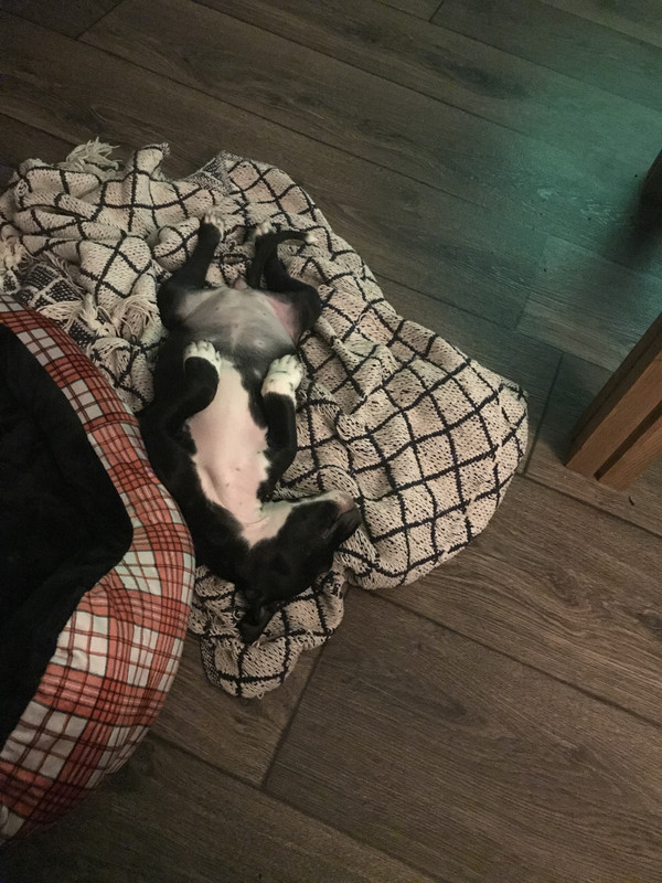 F4C5D014-D328-4758-98DD-BB4EF6FA5CB2