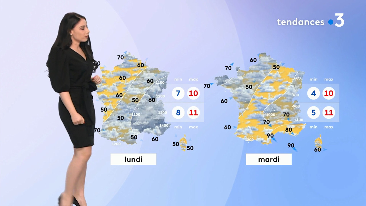2022-02-12_11_10_Fr3_Meteo.mp4_snapshot_09.53.849
