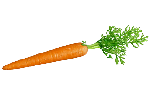 Carrots