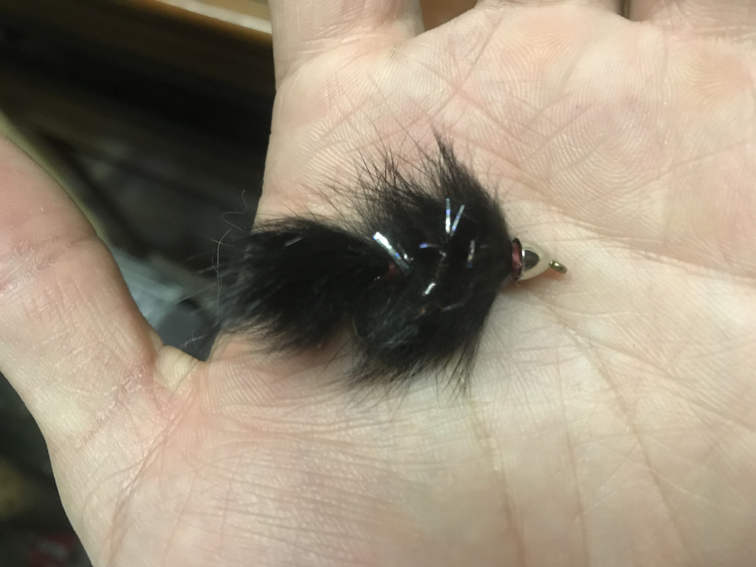 FE49C79E-A3D0-41CC-91D2-C24C27DBB914