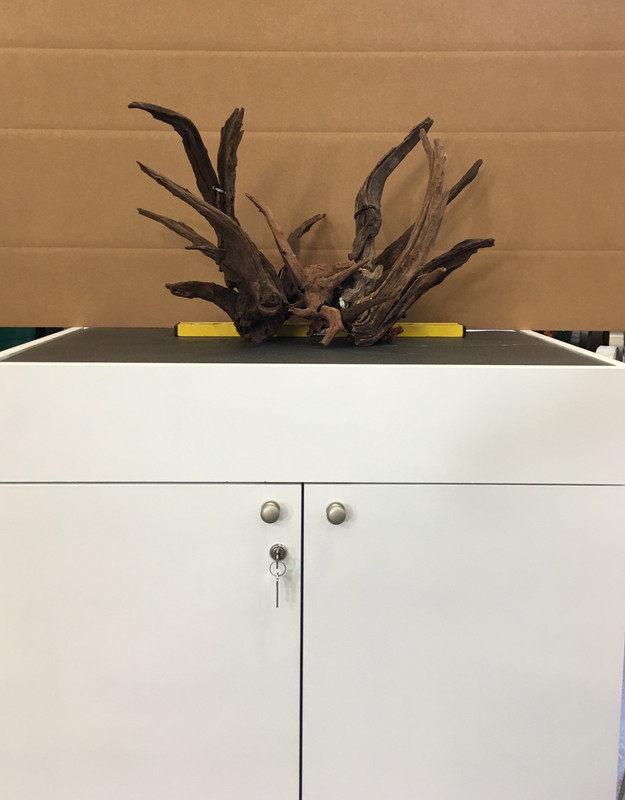 BFF9D881-C098-4FD1-881C-A2BE8990F16A