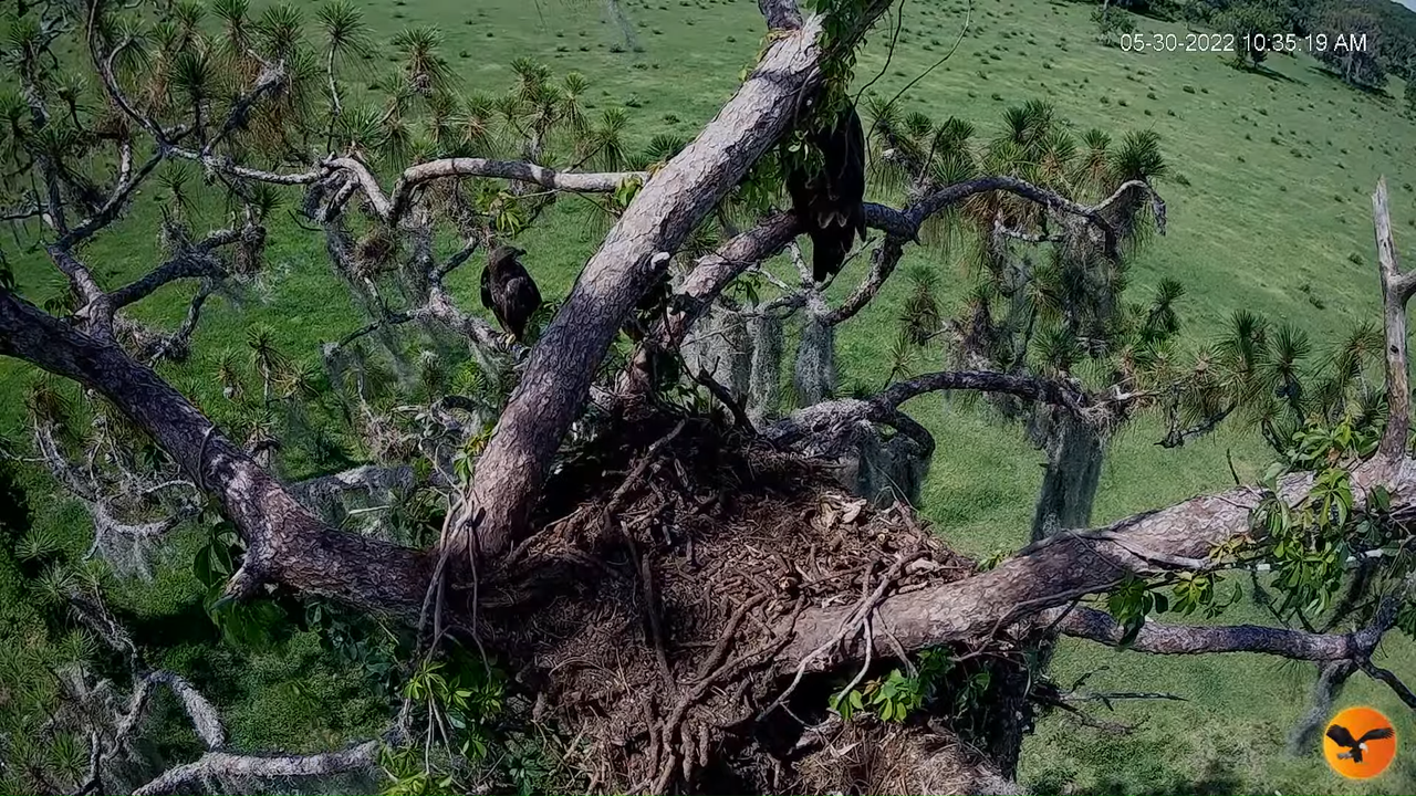 EC 4K Overhead Cam 8-25-41 screenshot