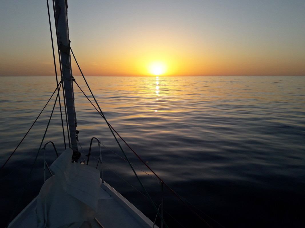 [Imagen: 20200130-190404.jpg]