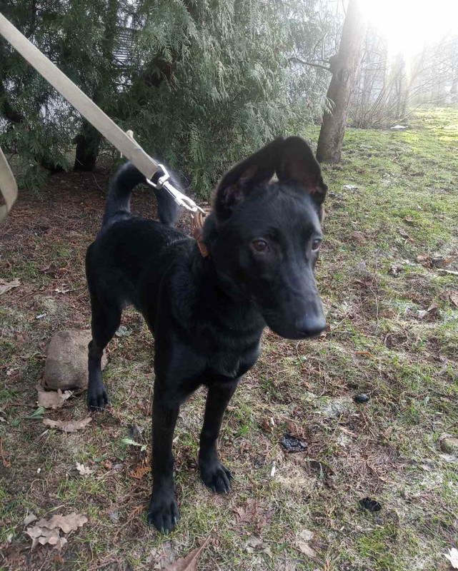 138DDB44-63DE-499D-B071-604F486F8425