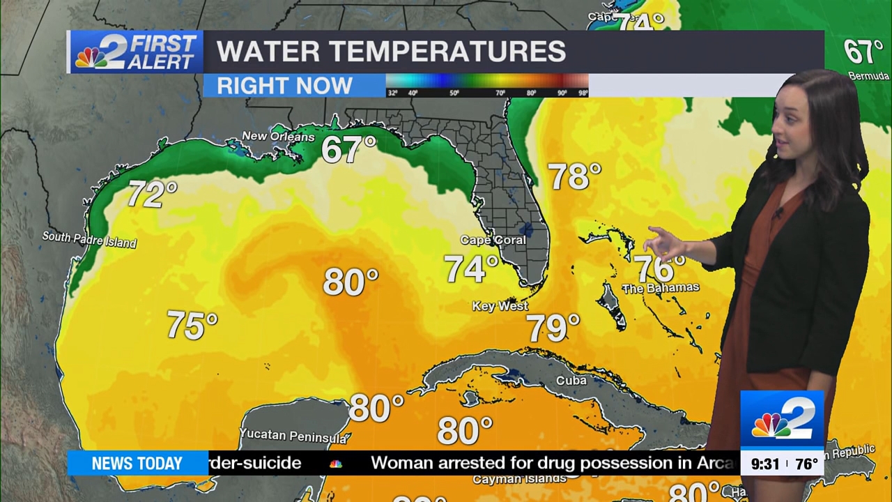 03.26 - 14.00.00 - NBC 2 News Today - Sunday  ᴺᵉʷ..ts_snapshot_00.37.39.518