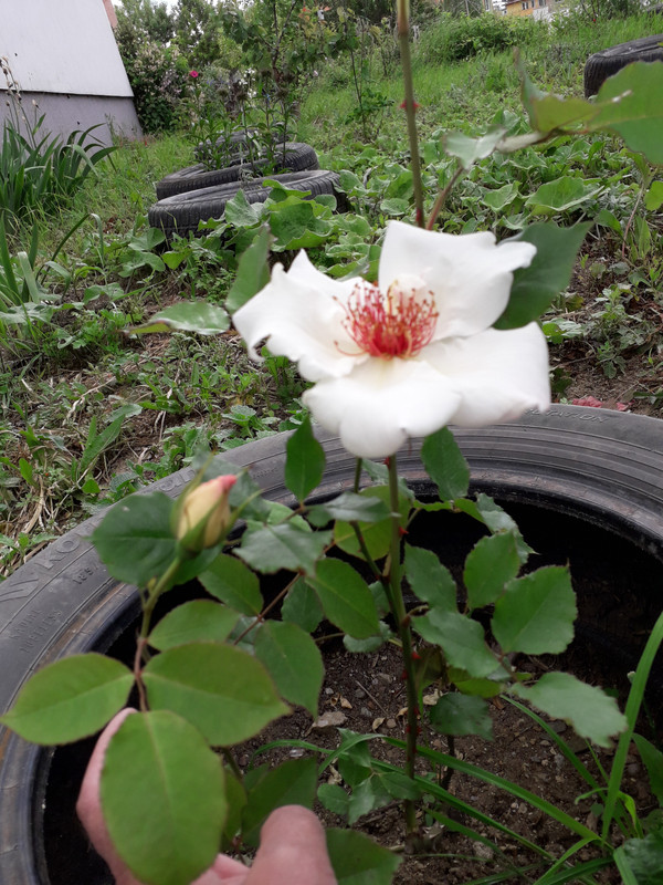 20190530_154637