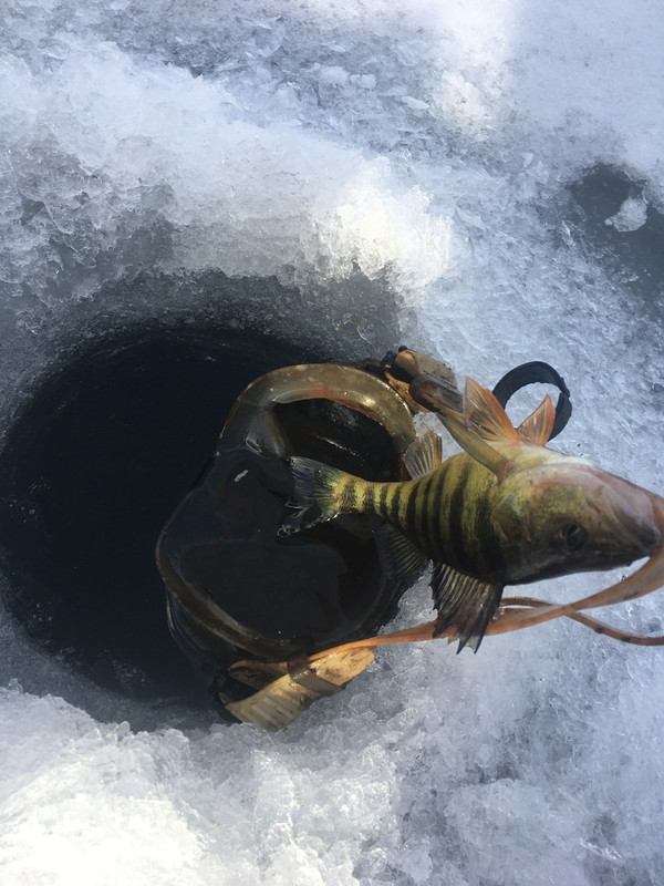 B551F7E2-4AE6-48FA-9D6E-022C5146882B