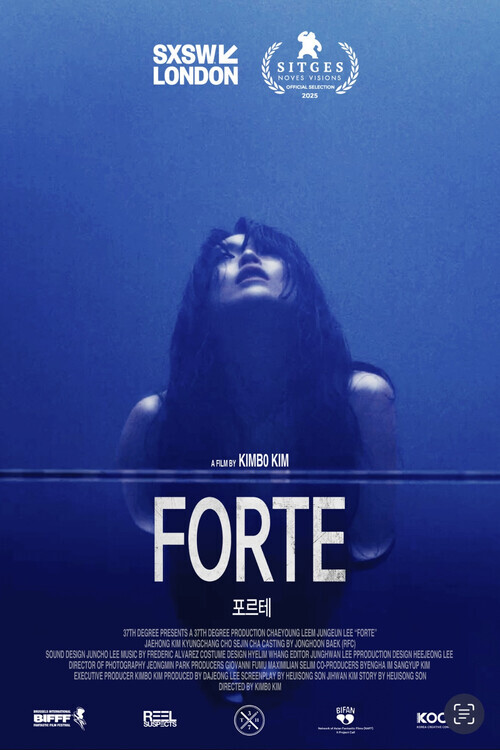 Forte (2025) PL.480p.AC3.WEB-DL.XviD-GR4PE / Lektor PL