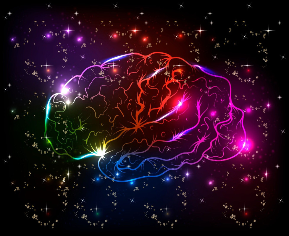 https://i.postimg.cc/Dyk2YQPM/neuroscience-brain.jpg