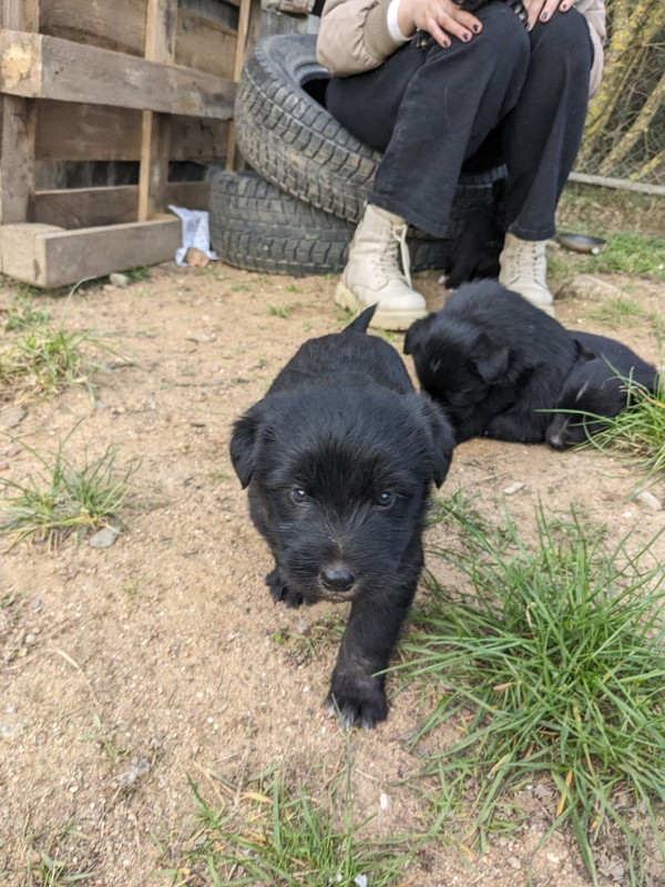 photo_2024-04-23_22-47-39 (3)