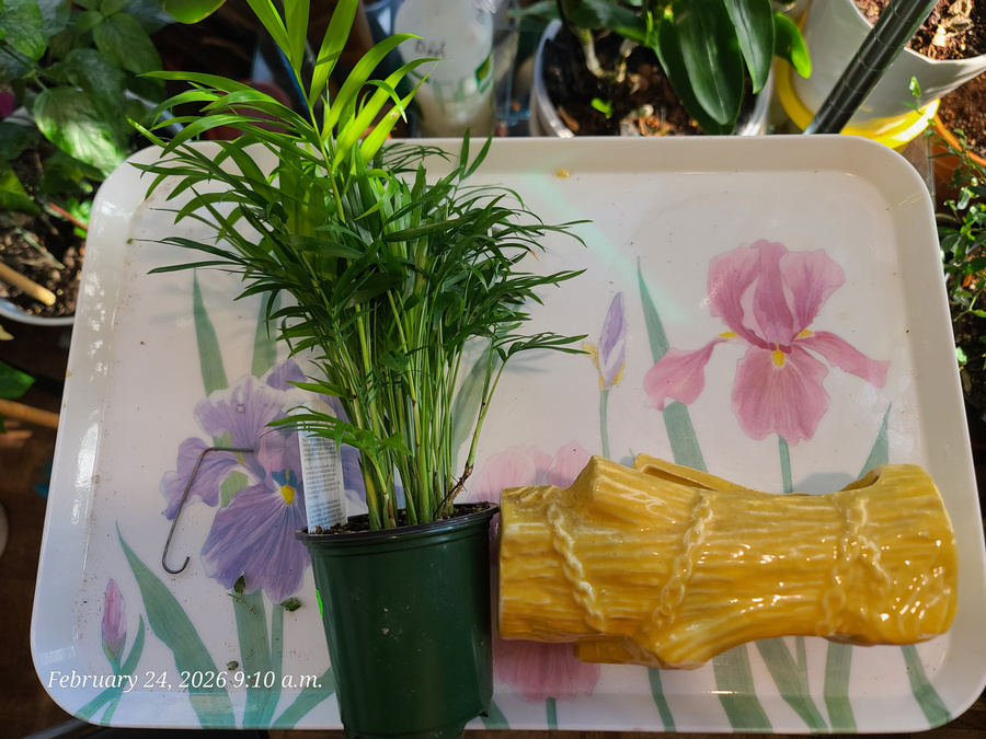 [Image: 20260224-091033.jpg]