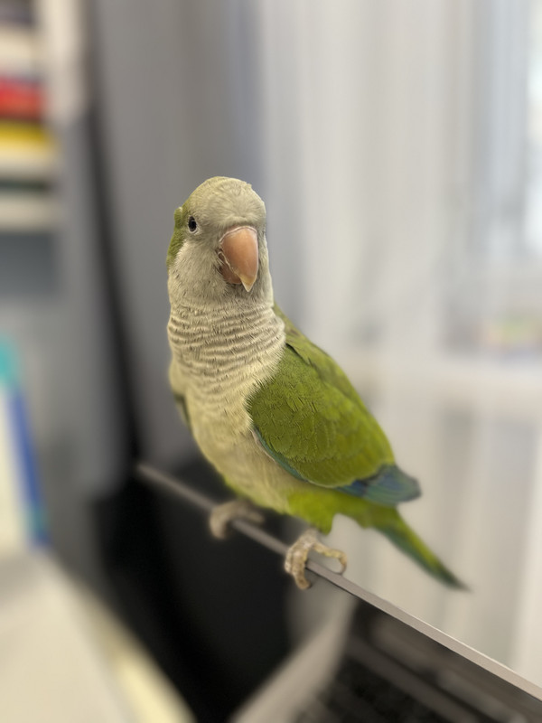 F1C8CF69-4D1F-44D5-BB13-556235F8FC3C