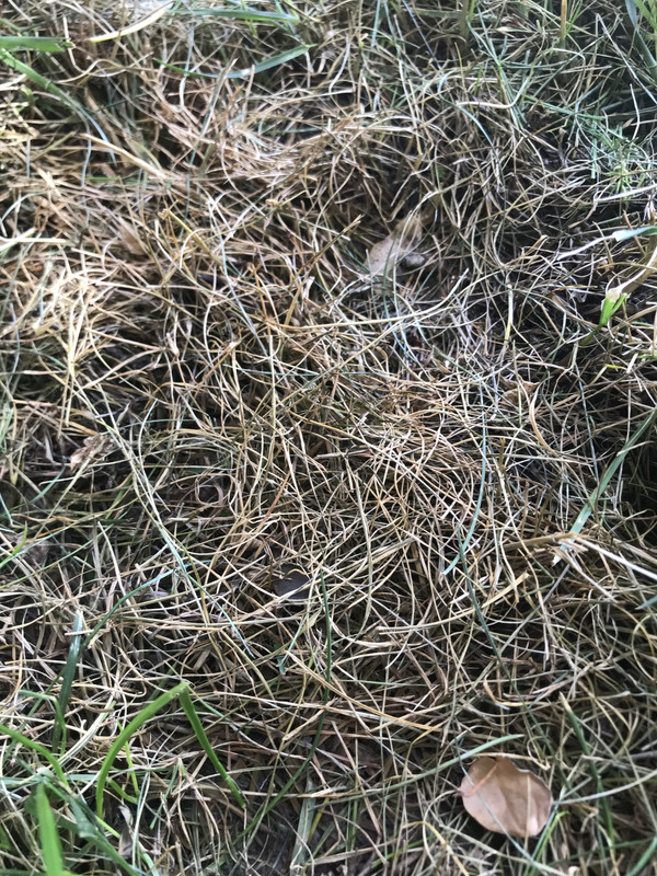 4DC84F5C-A5EA-4E92-B4A8-C260DF73ED64