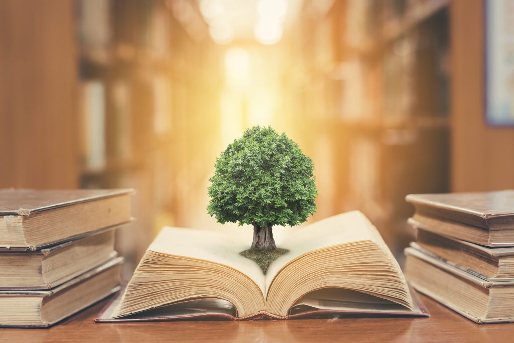 Prospects for Sustainable Book Production in the Future