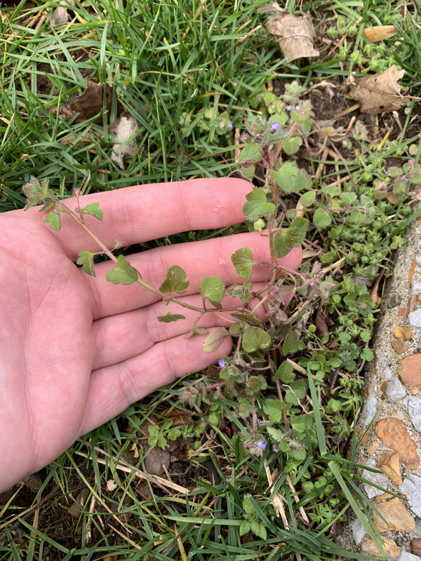 497F32A4-30DD-4ACF-A7C9-1E1DEE1EBF1B