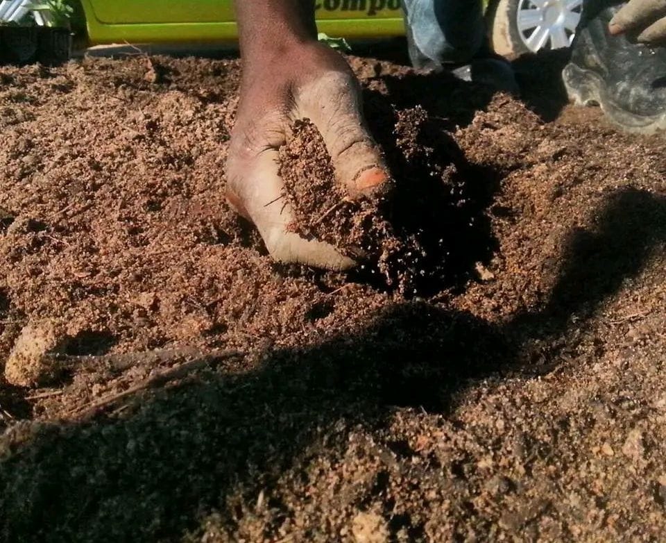 Phase 5: Mixing rotted leaves with soil