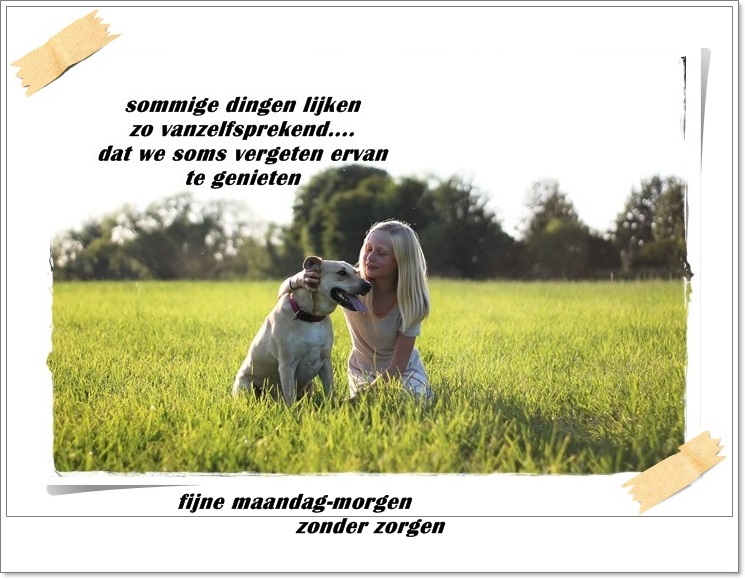 welkom opblog Bunic Jos