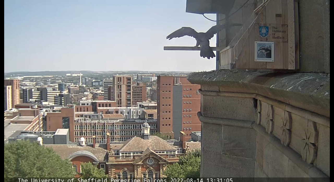 Sheffield/Yorkshire. - Pagina 4 Video-2022-08-14-143951-Moment-3