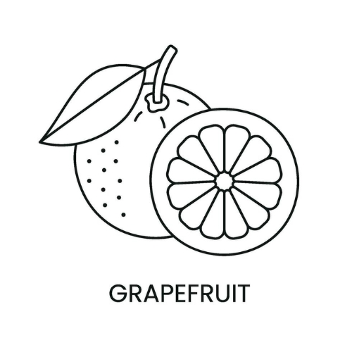 Grapefruit Seed