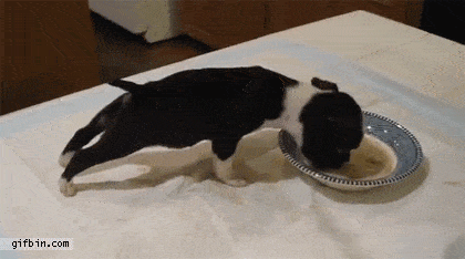 02040f165409a69c1ffdcb9f34cf524a.gif