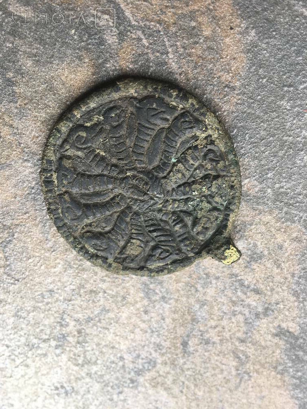 50х45БроварыКиевская1