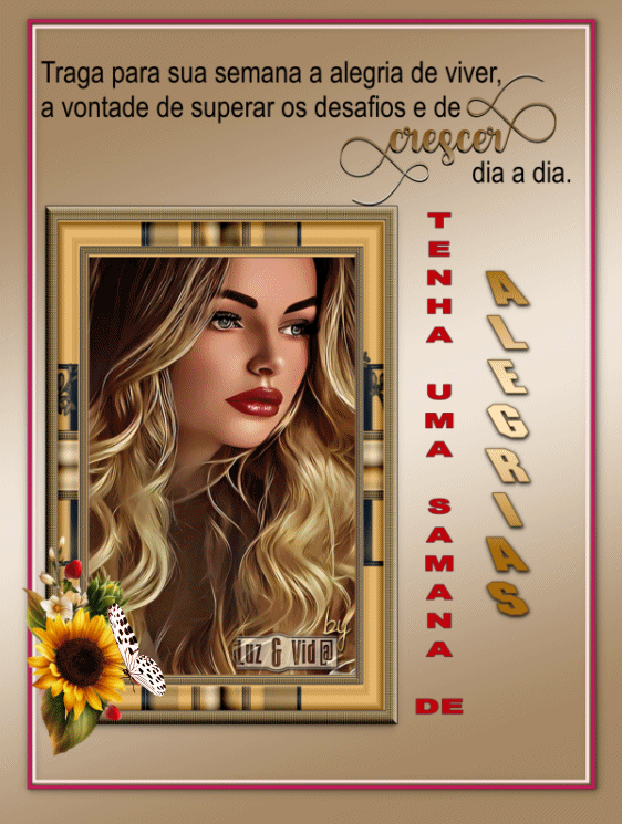 NOVO581-MB-maryluz.gif