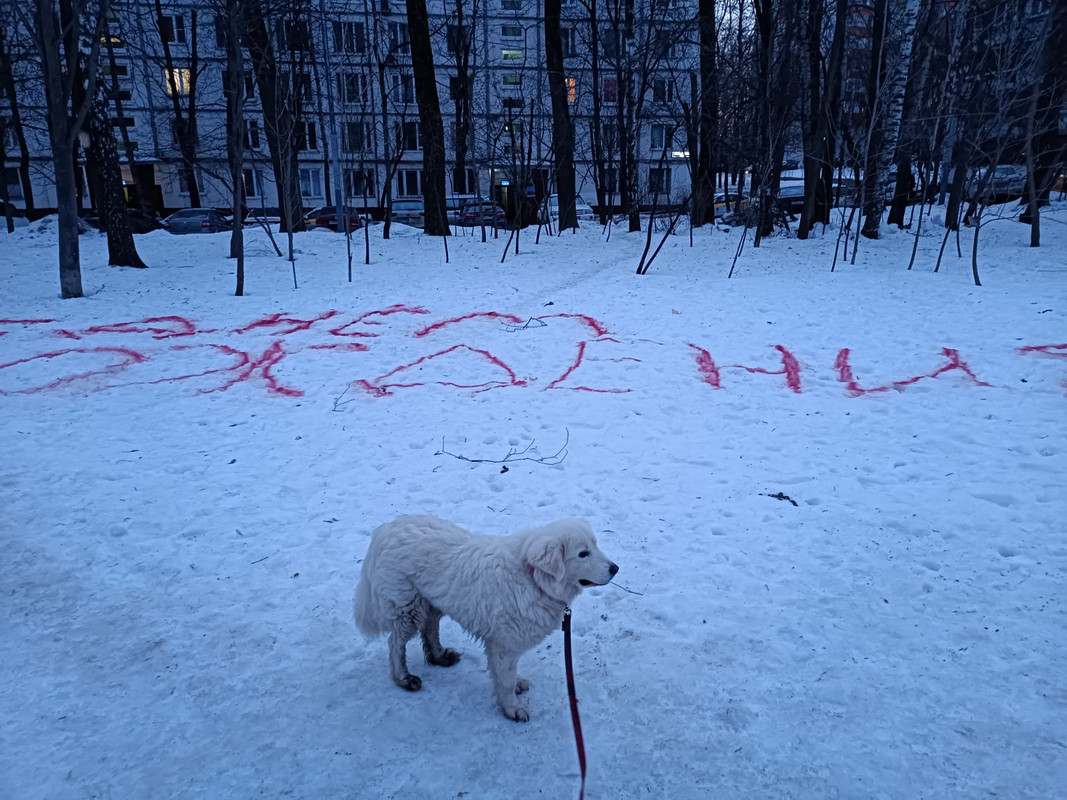 EB684900-32EB-473A-A1BB-14896F79C3CE