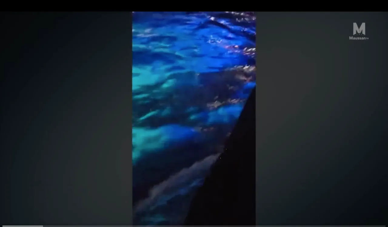 ¿Ovnis debajo del agua? video viral causa polémica en redes