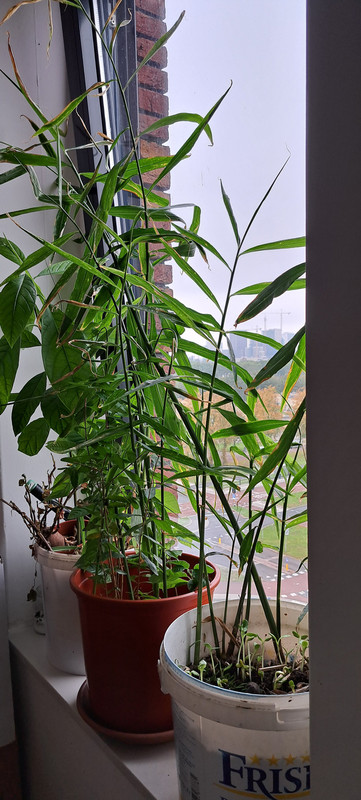 [Image: 20231026-152020.jpg]