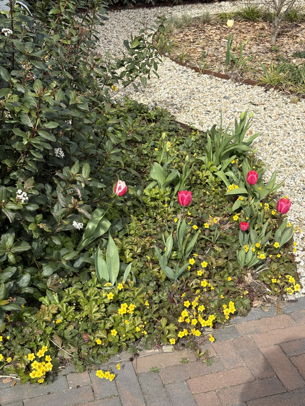 IMG-0987.jpg