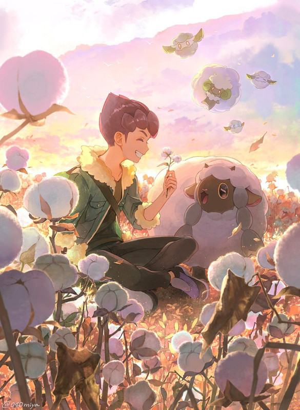 hop-wooloo-whimsicott-and-cottonee-pokem