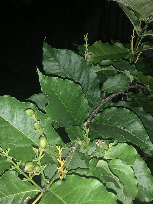 184058D5-F732-4221-B684-D751B0B11724