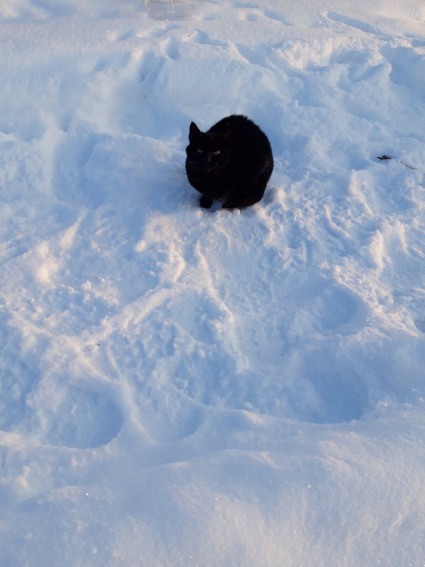 3FD78B17-C9ED-40B9-BB8B-780FDB2791A3