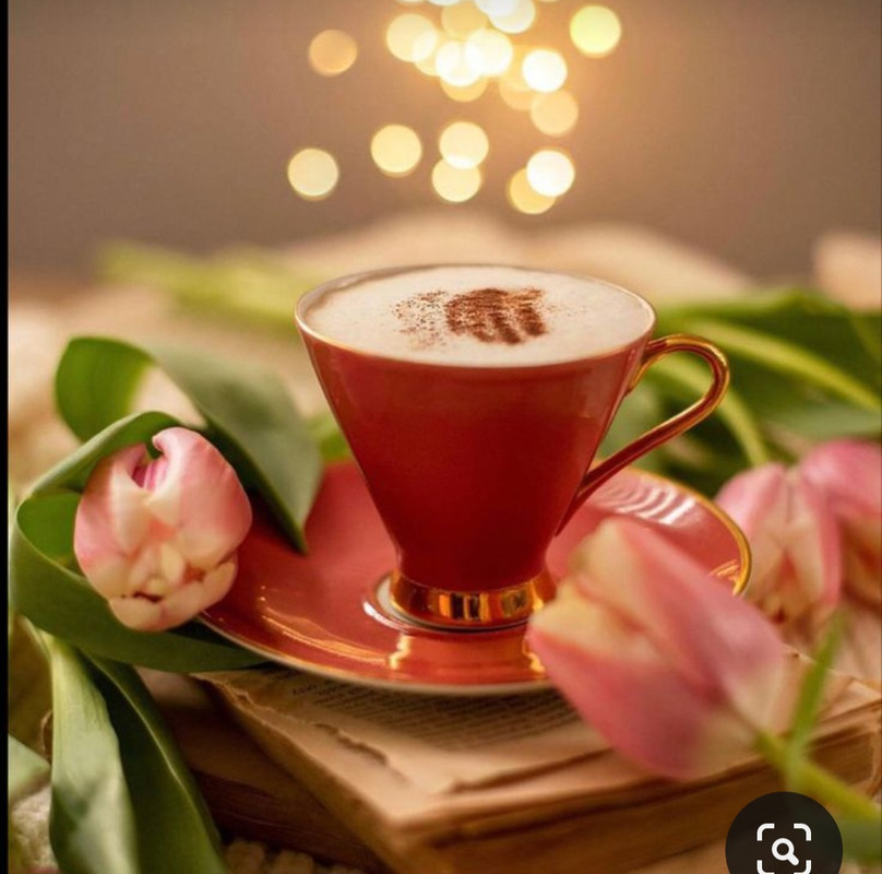 Screenshot_20230905_015433_Pinterest